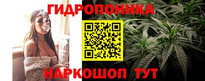 mdpv Кингисепп