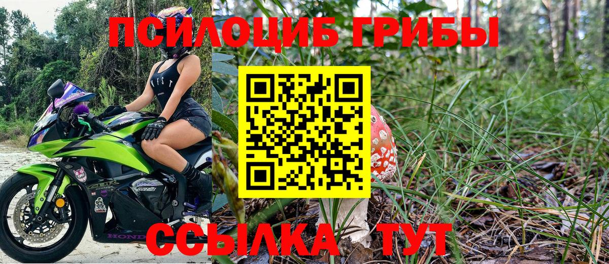 Шадринск  Галлюциногенные грибы MAGIC MUSHROOMS  Псилоцибиновые грибы Psilocybe  Вход с VPN 