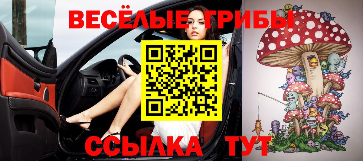Галлюциногенные грибы Cubensis Шадринск