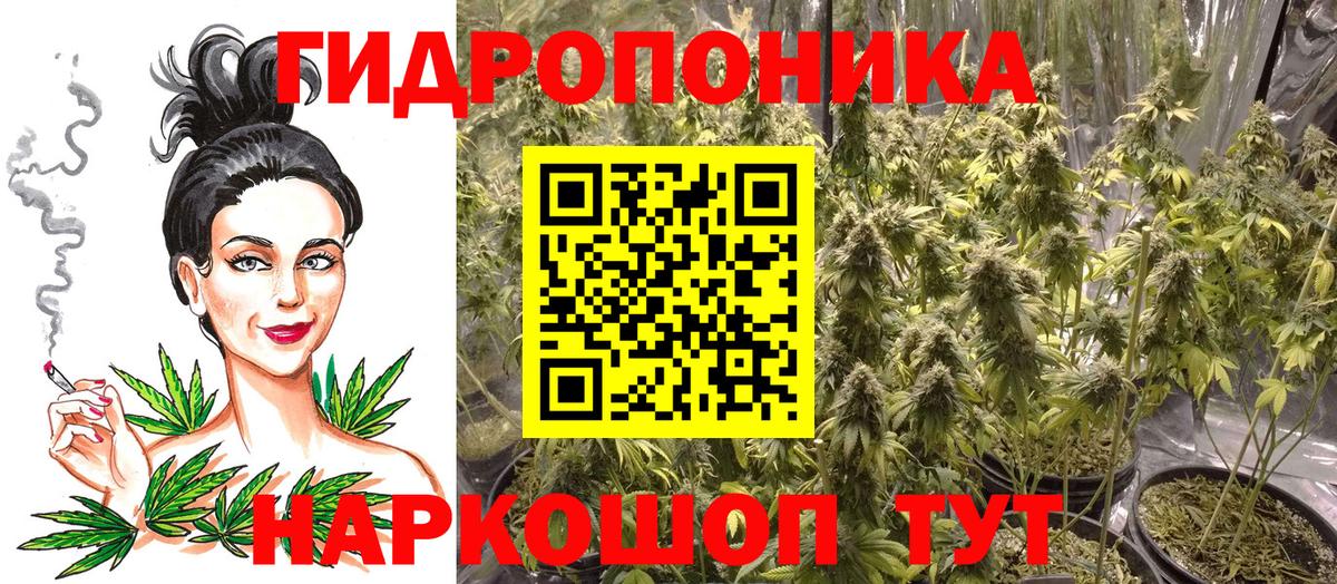 Шадринск  МАРИХУАНА марихуана  Шишки марихуана план  Марихуана THC 21%  Каннабис Ganja  Вход с VPN 